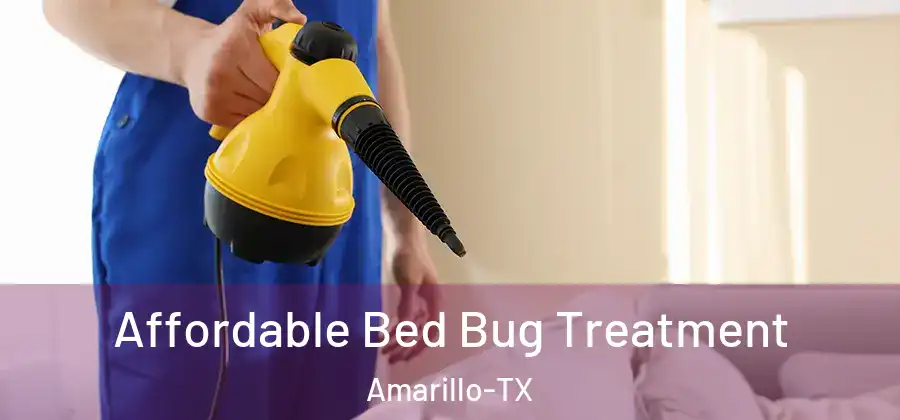 Affordable Bed Bug Treatment Amarillo-TX