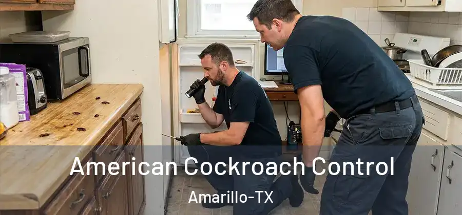 American Cockroach Control Amarillo-TX