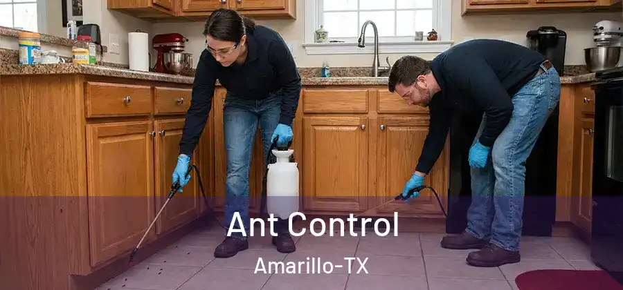 Ant Control Amarillo-TX