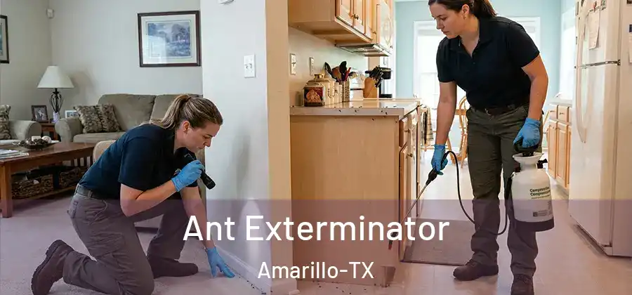 Ant Exterminator Amarillo-TX