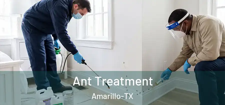 Ant Treatment Amarillo-TX