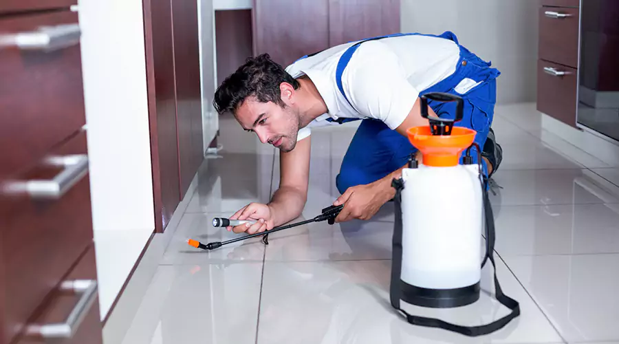 Signs You Have a Hidden Pest Infestation in Your Home