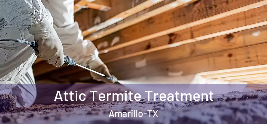 Attic Termite Treatment Amarillo-TX