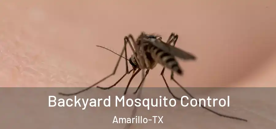Backyard Mosquito Control Amarillo-TX