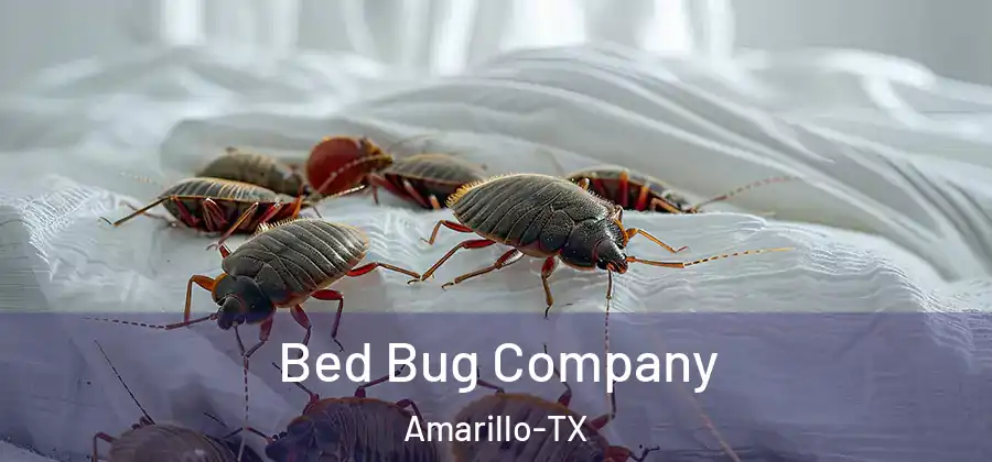 Bed Bug Company Amarillo-TX