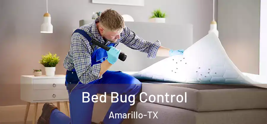 Bed Bug Control Amarillo-TX
