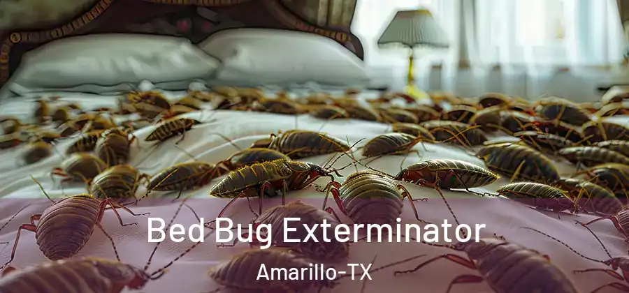 Bed Bug Exterminator Amarillo-TX