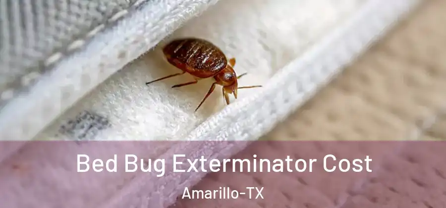 Bed Bug Exterminator Cost Amarillo-TX
