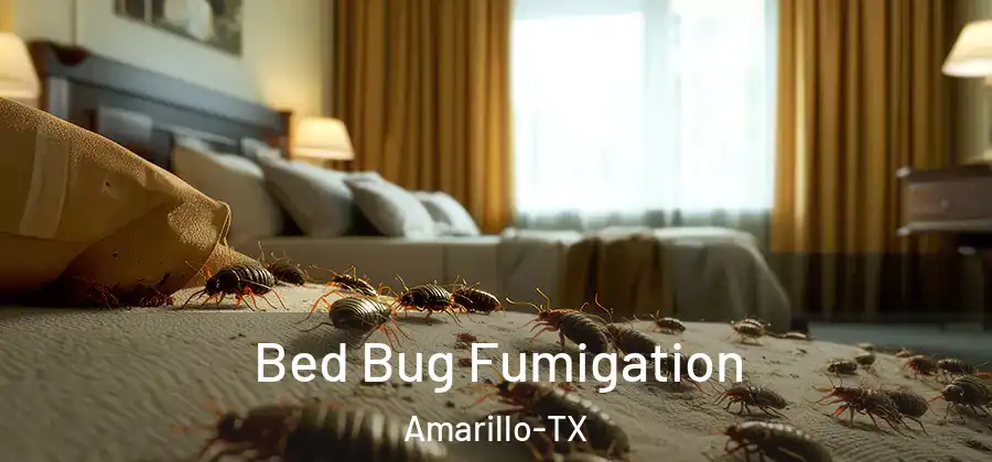  Bed Bug Fumigation Amarillo-TX