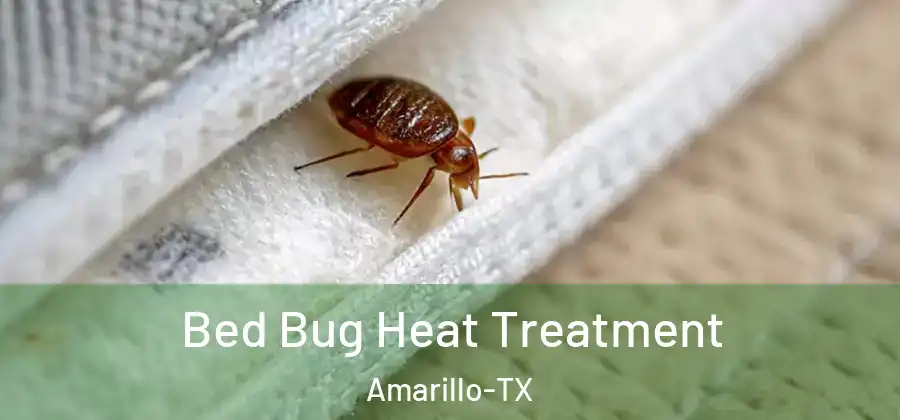Bed Bug Heat Treatment Amarillo-TX