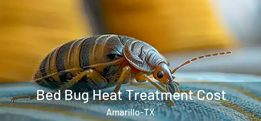 Bed Bug Heat Treatment Cost Amarillo-TX