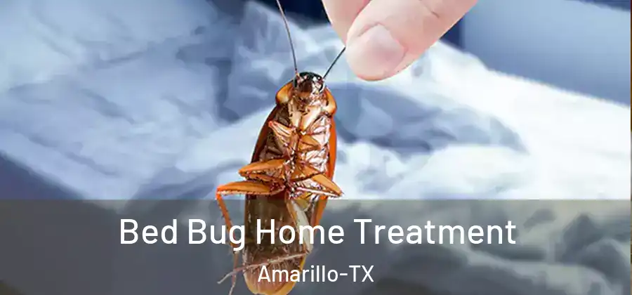 Bed Bug Home Treatment Amarillo-TX