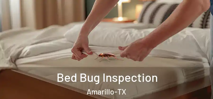 Bed Bug Inspection Amarillo-TX
