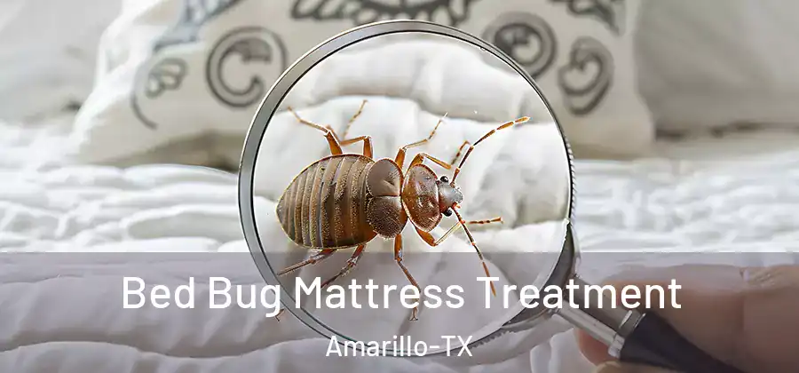 Bed Bug Mattress Treatment Amarillo-TX