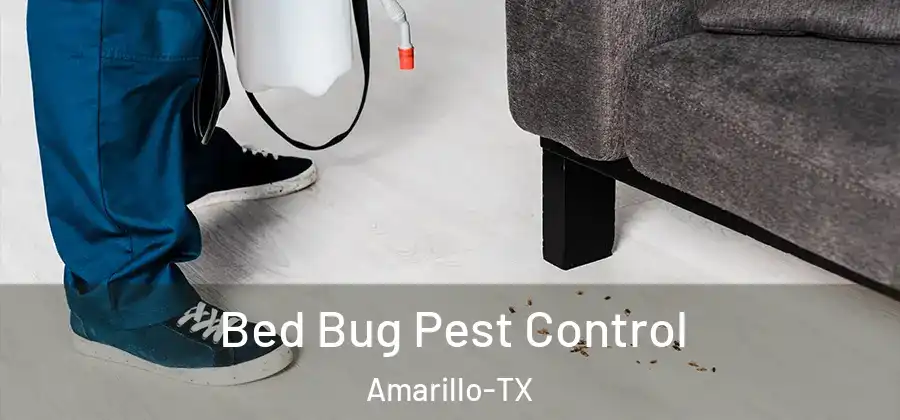 Bed Bug Pest Control Amarillo-TX