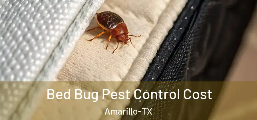  Bed Bug Pest Control Cost Amarillo-TX