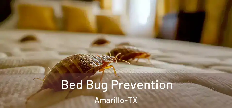  Bed Bug Prevention Amarillo-TX