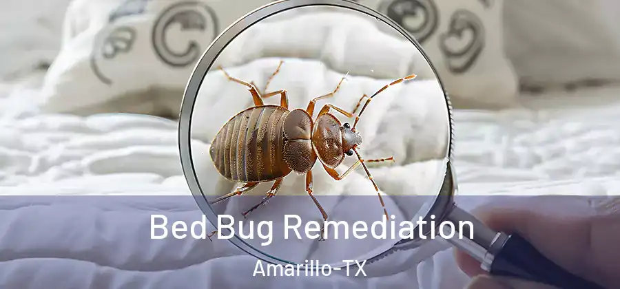 Bed Bug Remediation Amarillo-TX