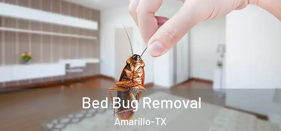  Bed Bug Removal Amarillo-TX