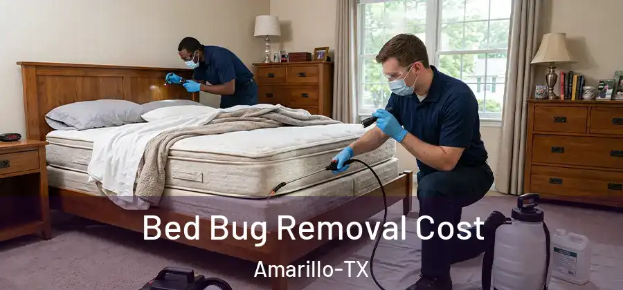 Bed Bug Removal Cost Amarillo-TX