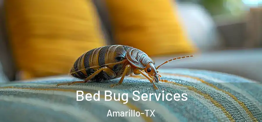 Bed Bug Services Amarillo-TX