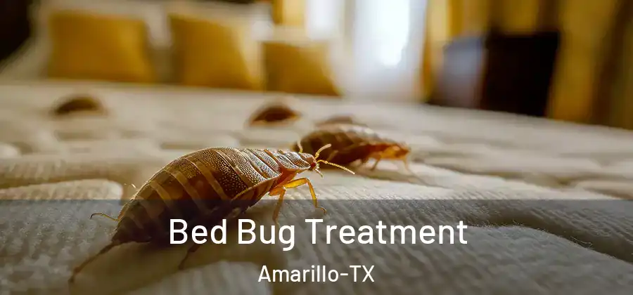 Bed Bug Treatment Amarillo-TX