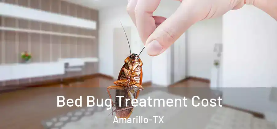 Bed Bug Treatment Cost Amarillo-TX