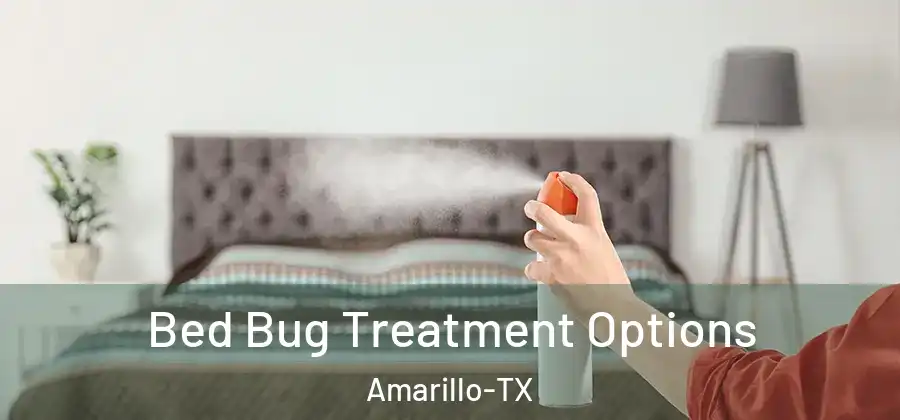  Bed Bug Treatment Options Amarillo-TX
