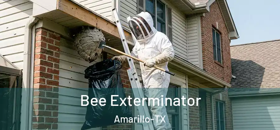  Bee Exterminator Amarillo-TX