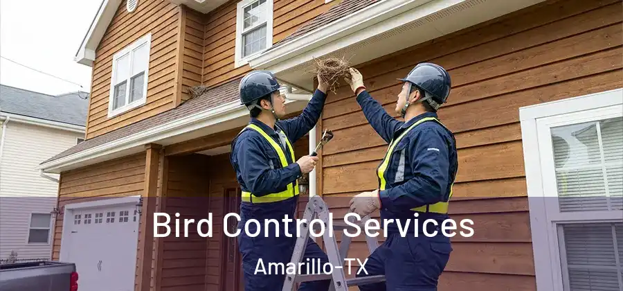  Bird Control Services Amarillo-TX