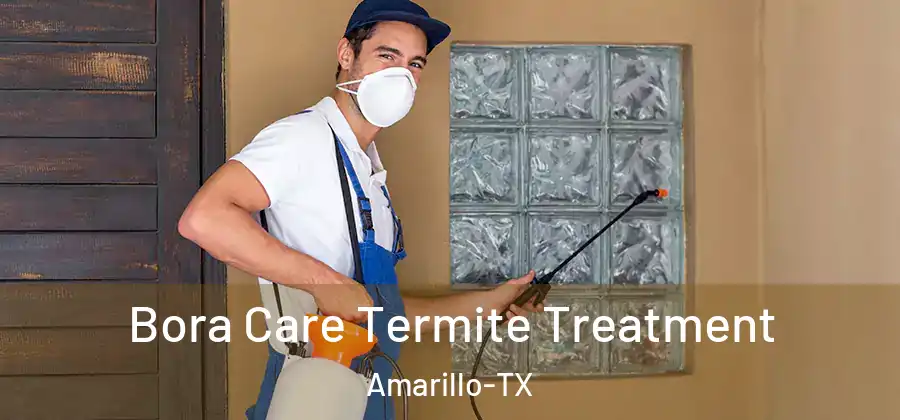 Bora Care Termite Treatment Amarillo-TX