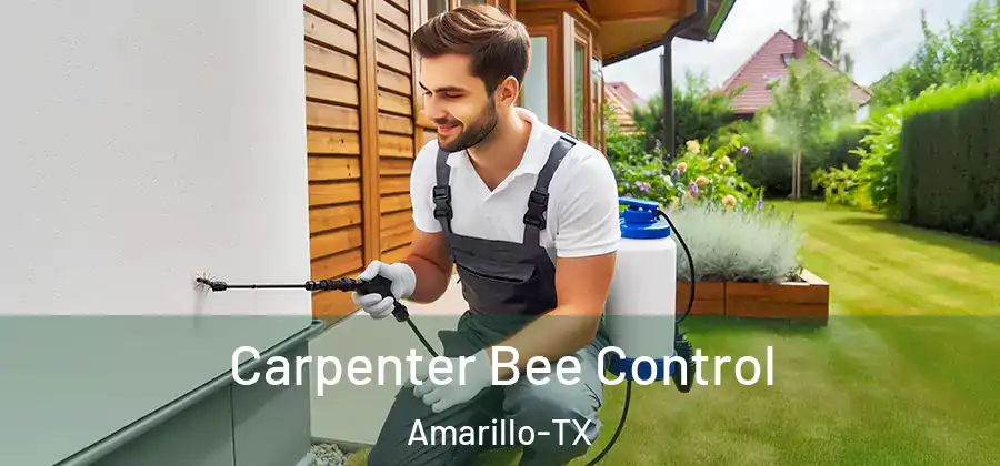 Carpenter Bee Control Amarillo-TX
