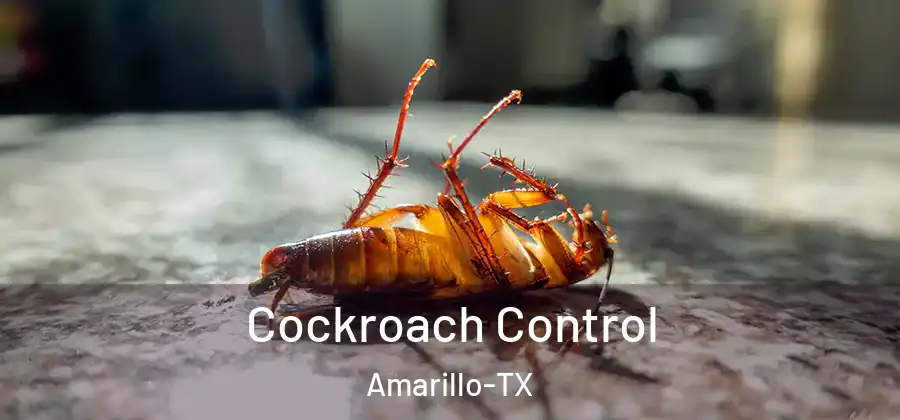 Cockroach Control Amarillo-TX