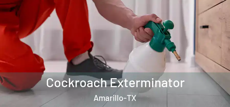 Cockroach Exterminator Amarillo-TX