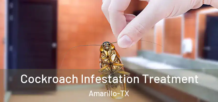  Cockroach Infestation Treatment Amarillo-TX