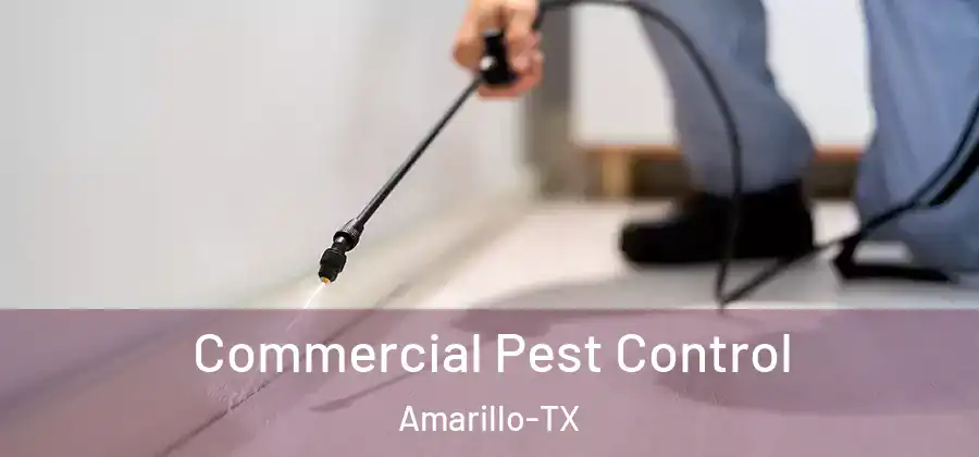 Commercial Pest Control Amarillo-TX