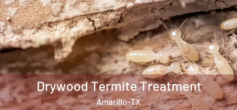 Drywood Termite Treatment Amarillo-TX