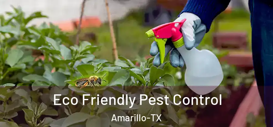 Eco Friendly Pest Control Amarillo-TX
