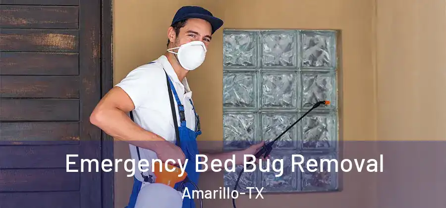 Emergency Bed Bug Removal Amarillo-TX