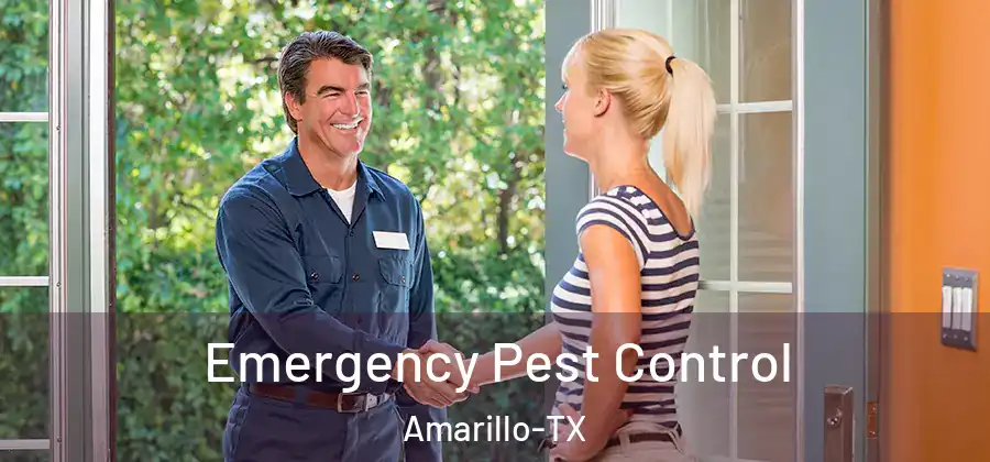  Emergency Pest Control Amarillo-TX