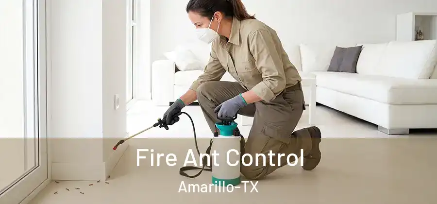 Fire Ant Control Amarillo-TX