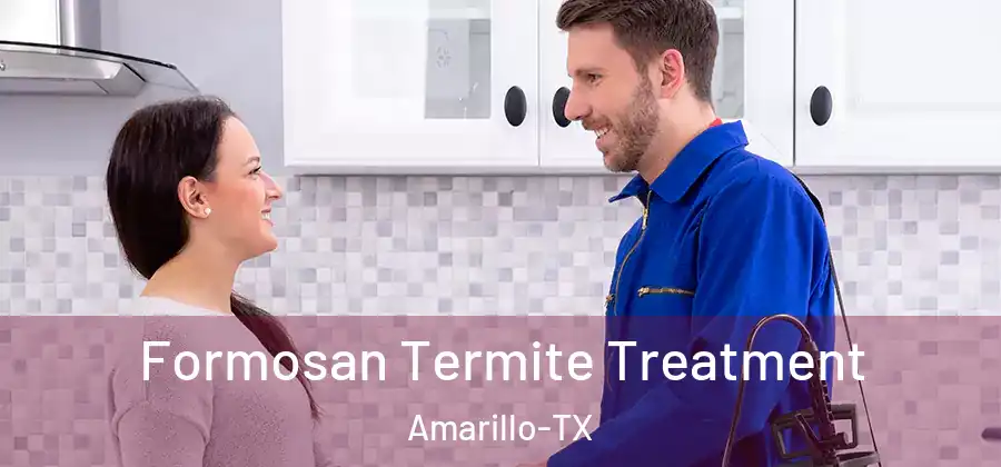  Formosan Termite Treatment Amarillo-TX