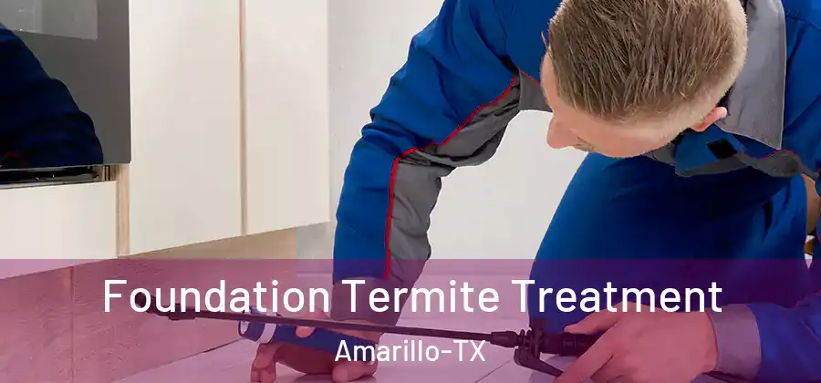 Foundation Termite Treatment Amarillo-TX
