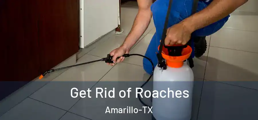 Get Rid of Roaches Amarillo-TX
