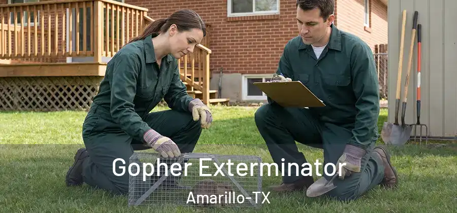 Gopher Exterminator Amarillo-TX