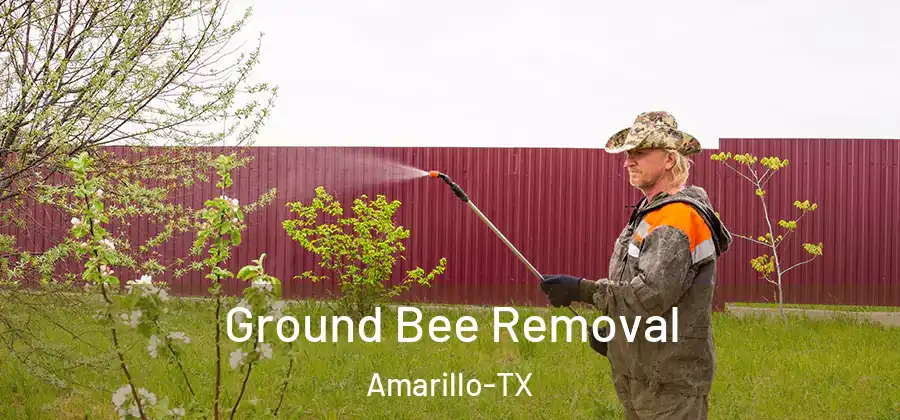 Ground Bee Removal Amarillo-TX