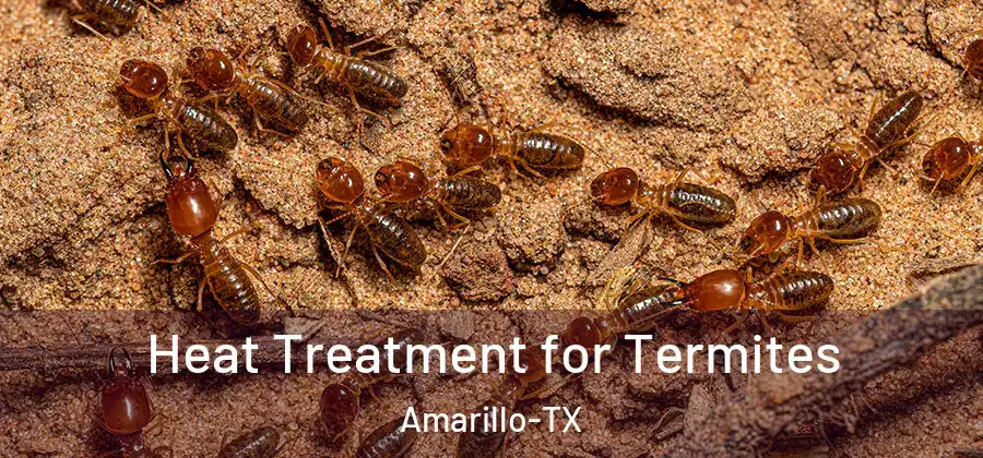  Heat Treatment for Termites Amarillo-TX