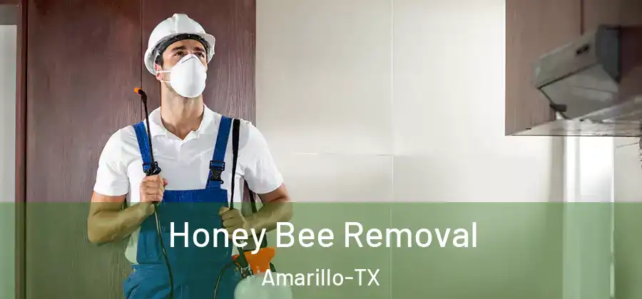 Honey Bee Removal Amarillo-TX