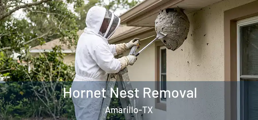 Hornet Nest Removal Amarillo-TX