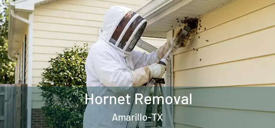 Hornet Removal Amarillo-TX
